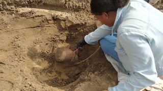 An archaeologist unearths a skull found at Farm Rosane archaeological site.