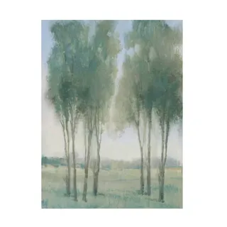 Tim OToole 'Tree Grove' Unframed Wall Canvas