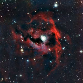 The Seagull Nebula's Head