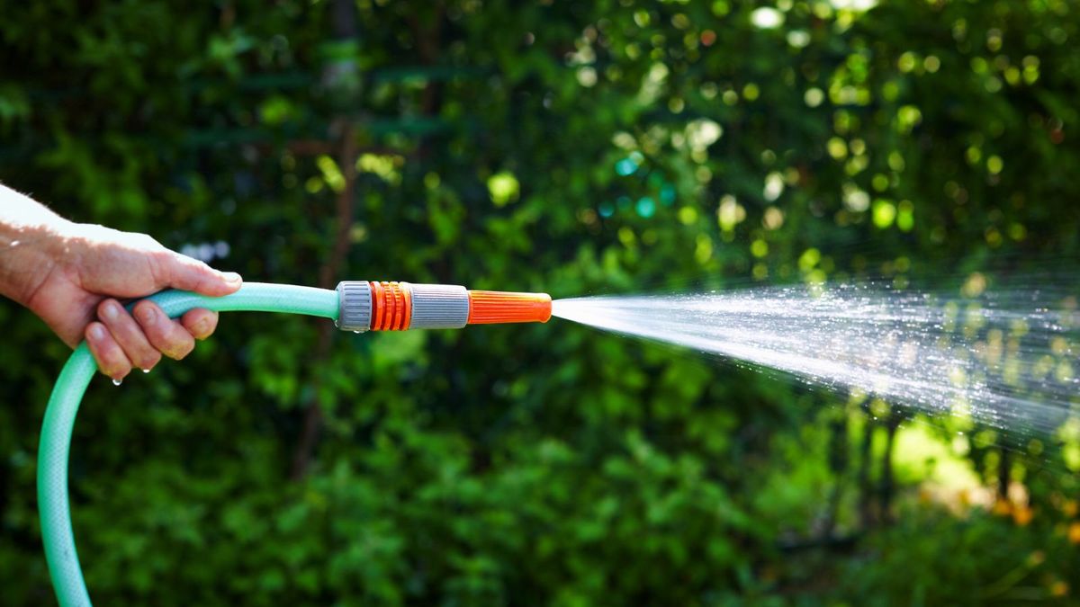 Is it safe to drink from a hose? A warning from a doctor | Homes & Gardens