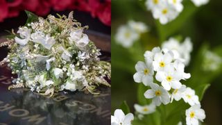 Meghan Markle's wedding bouquet and a close-up of white forget-me-not flowers