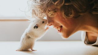 Hamster playing with child