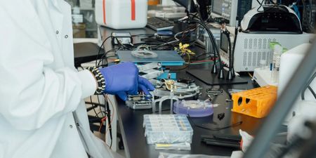 Biohub's Virtual Biology Initiative