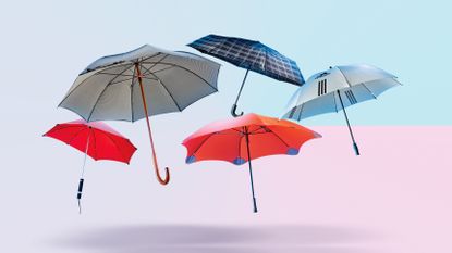 A collection of the best umbrellas against a pink and blue background