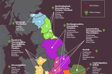 britain wine, climate change, study