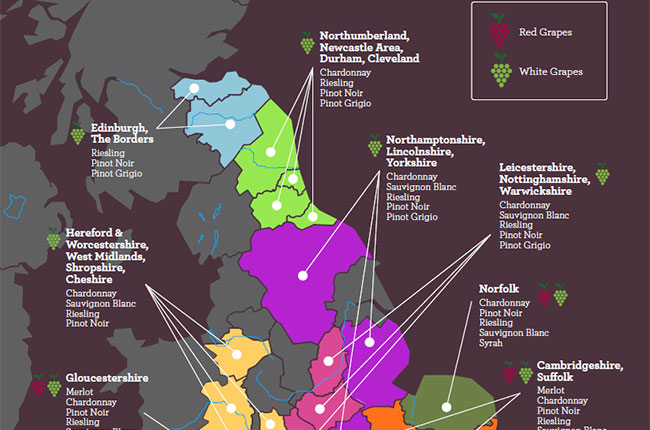 britain wine, climate change, study