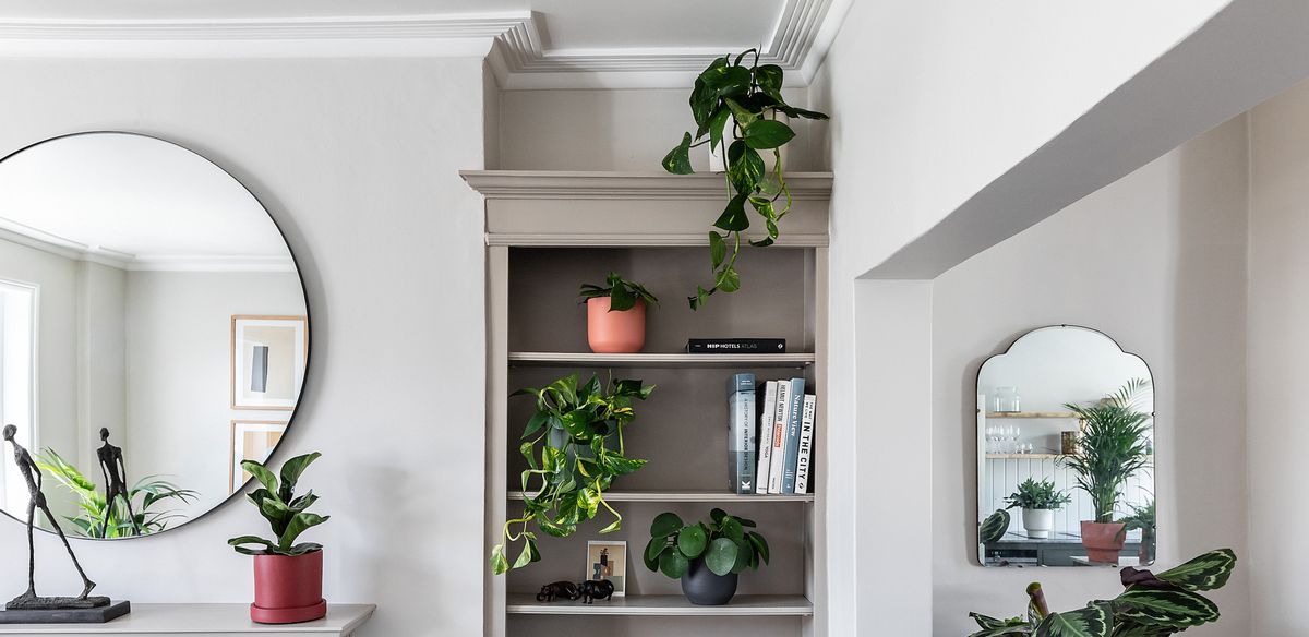 The 10 best houseplants for beginners - with fronds like these you'll feel like a green-thumbed pro