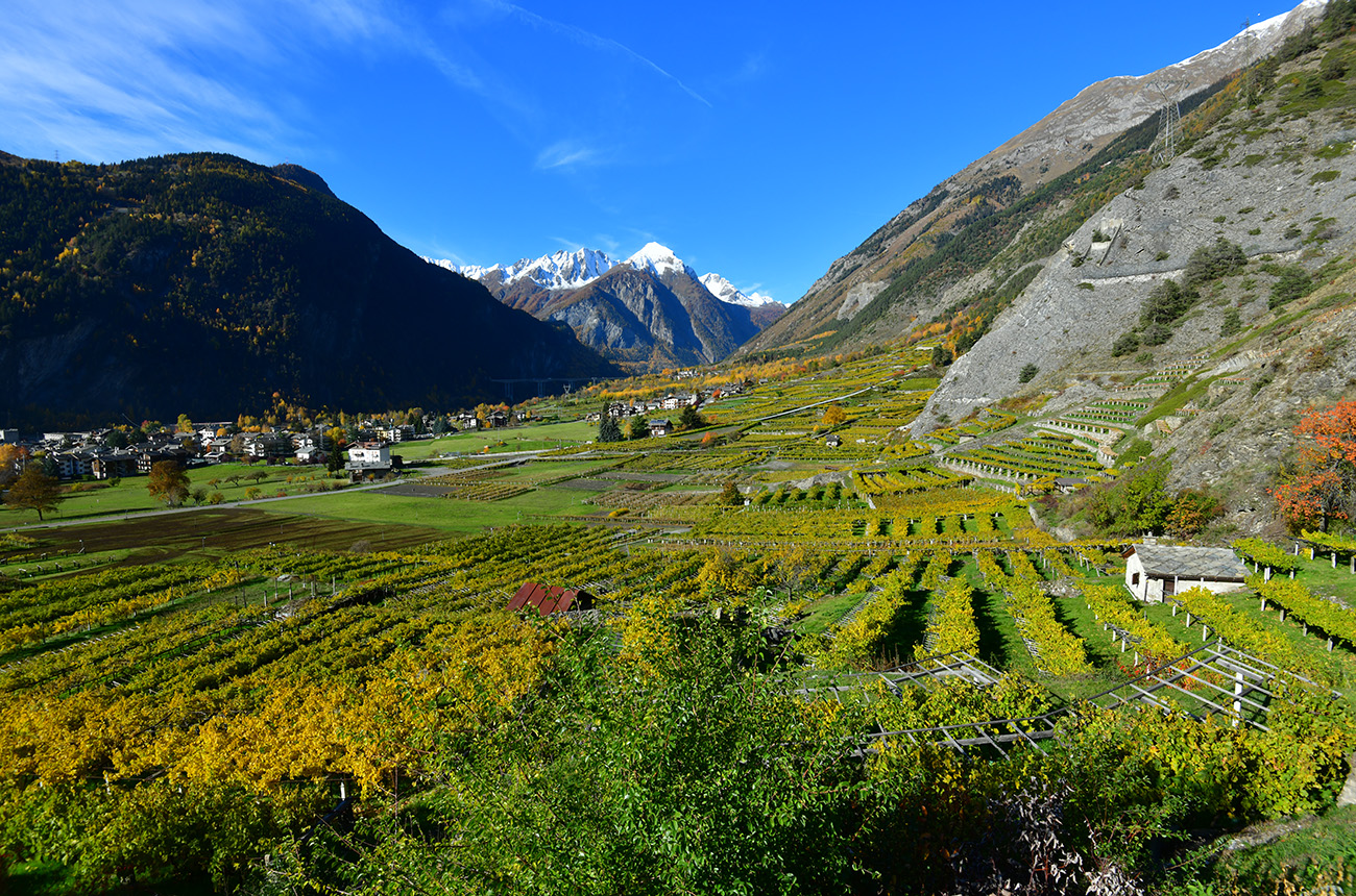 Morgex in Aosta Valley