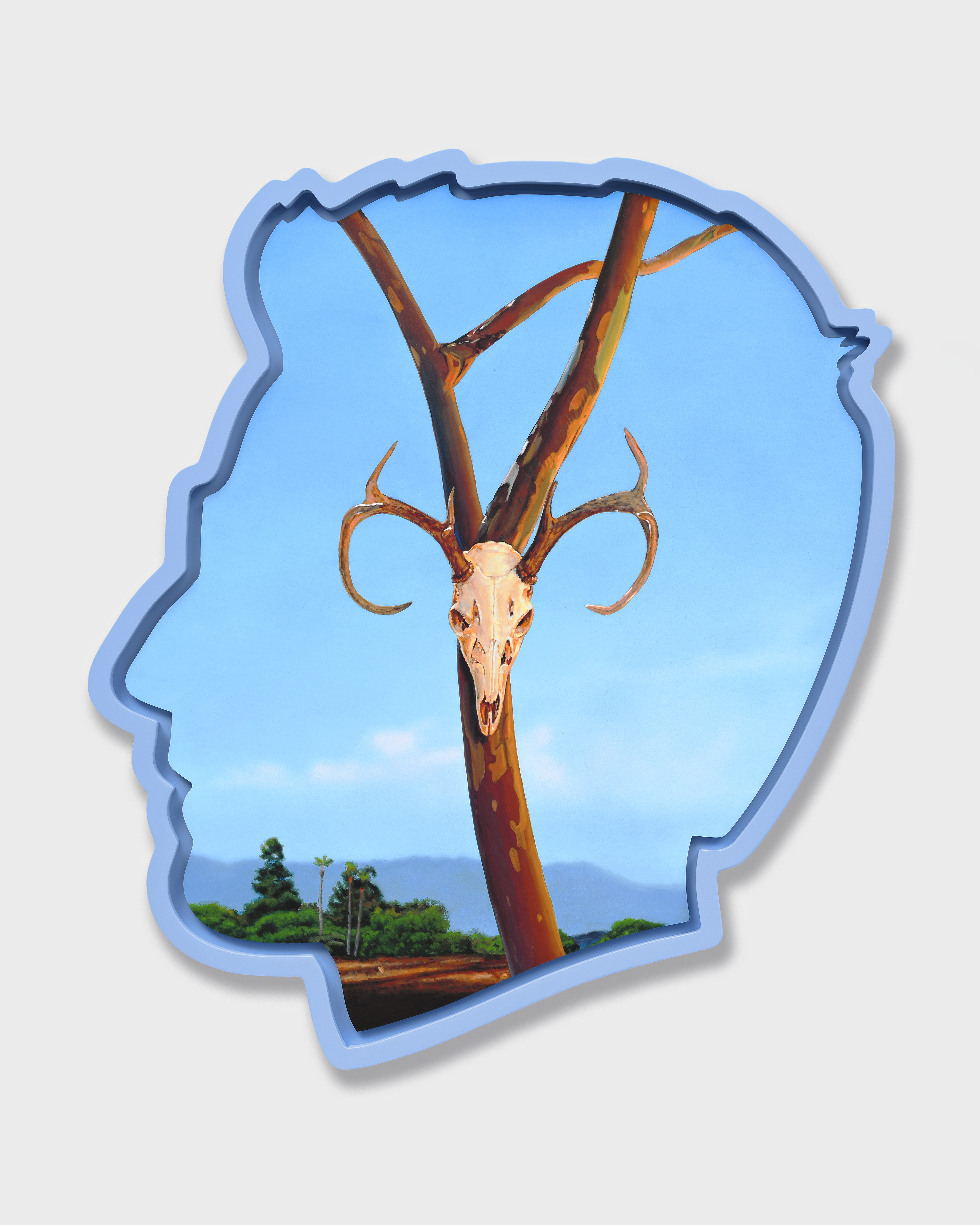 outline of head with brightly coloured image inside