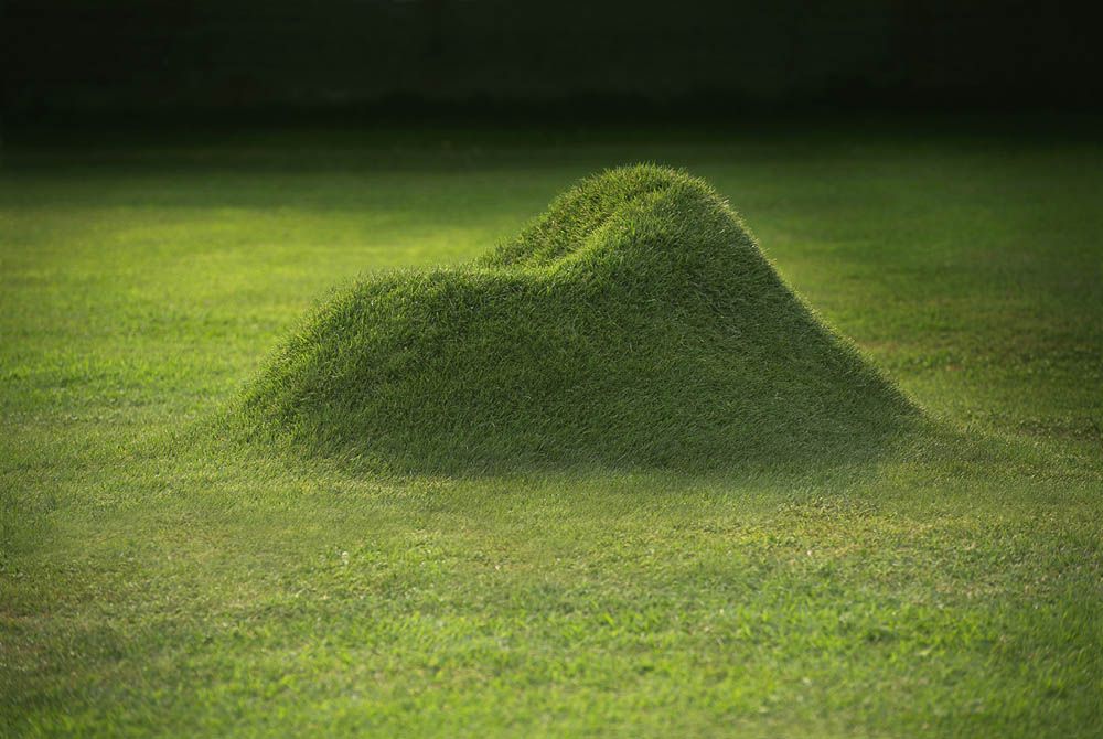 Grassy lawn chair.