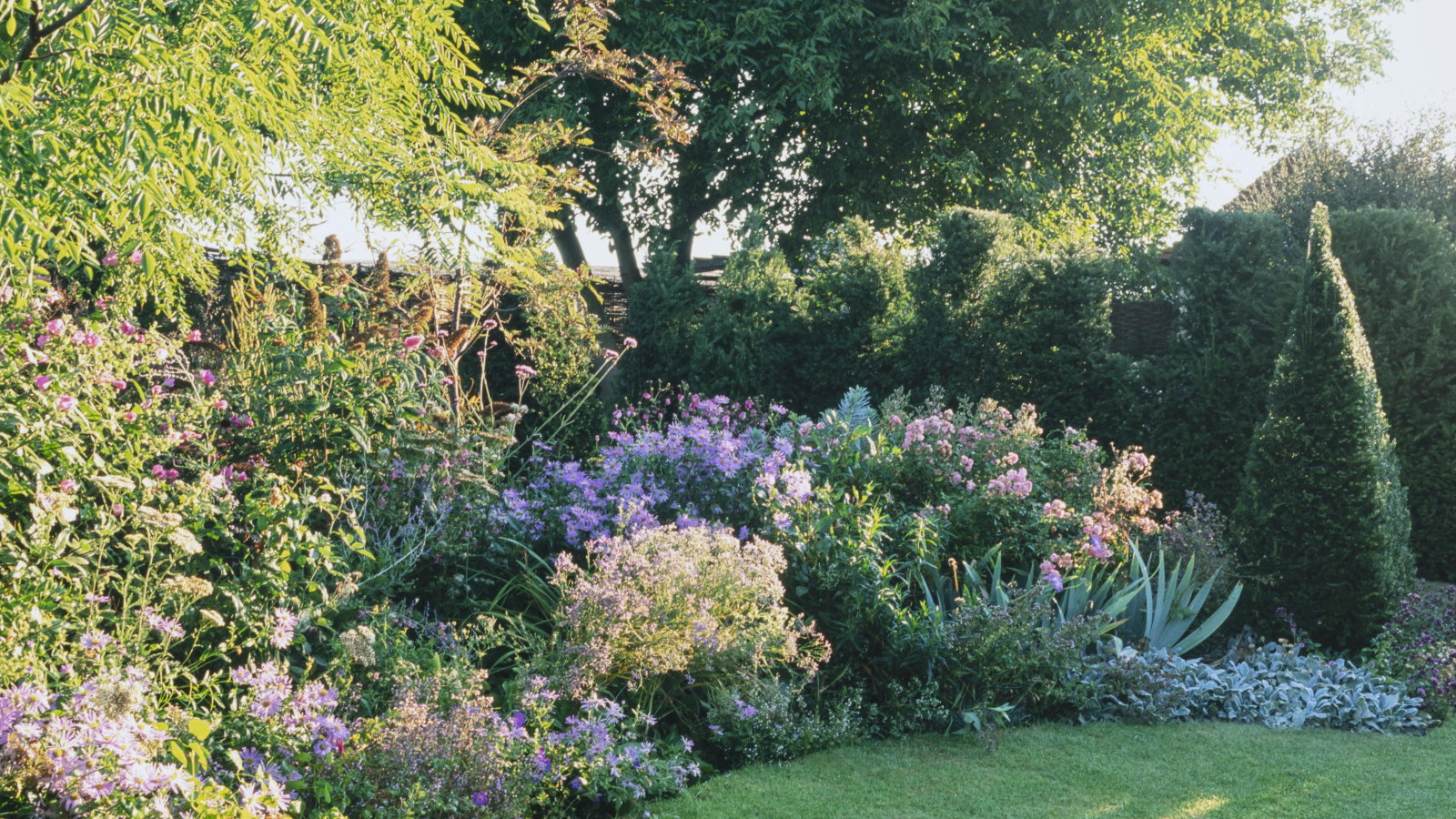 A garden border full of flowering shrubs and perennials with a green hedge in the background at Walnut Cottage Garden
