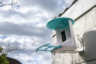 The best bird feeder cameras in 2023