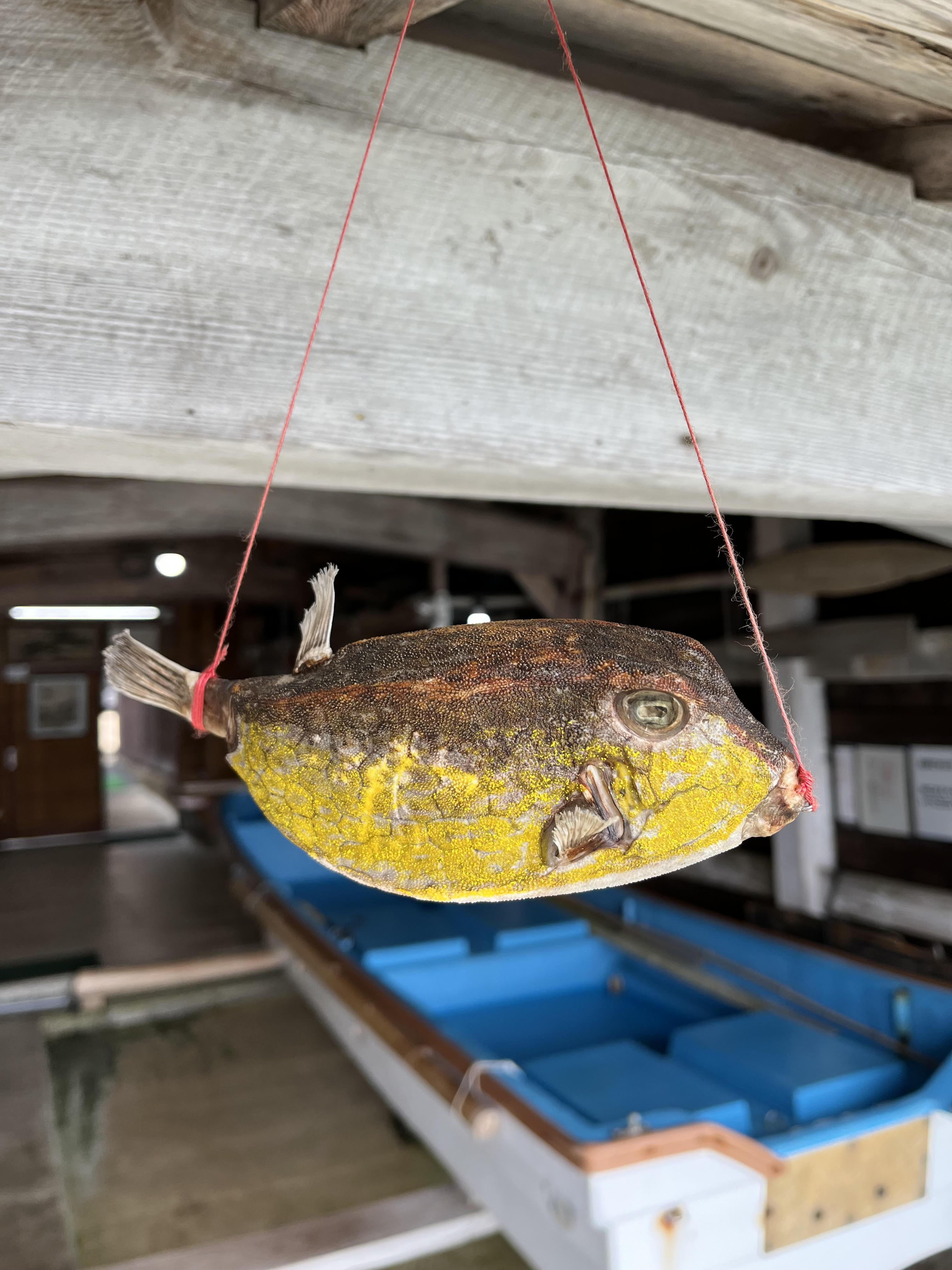 wallpaper team travel picks 2025