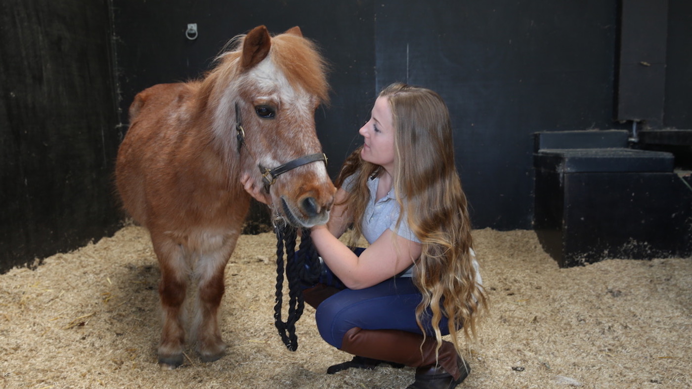 TinTan2.jpg