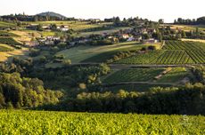 002_etienne_ramousse_inter-beaujolais_ete_2018_hd_externe_2018-2.jpg
