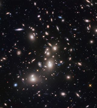 A swarming cluster of galaxies, hubble images