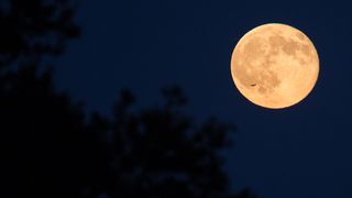 A full moon rises over Arlington, Virginia. A plane passes in front of the moon's bright face.