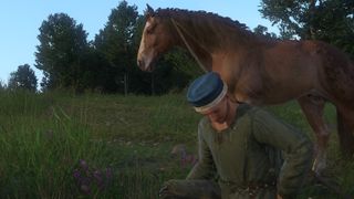 The best Kingdom Come: Deliverance mods: first-person herb picking