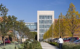 A tree-lined walkway leading to the hospital