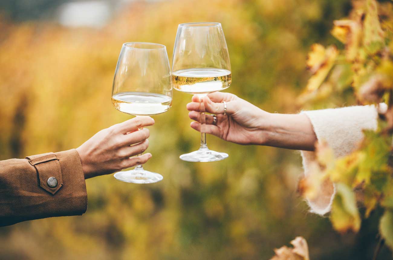 Two people holding glasses of white wine in vineyard