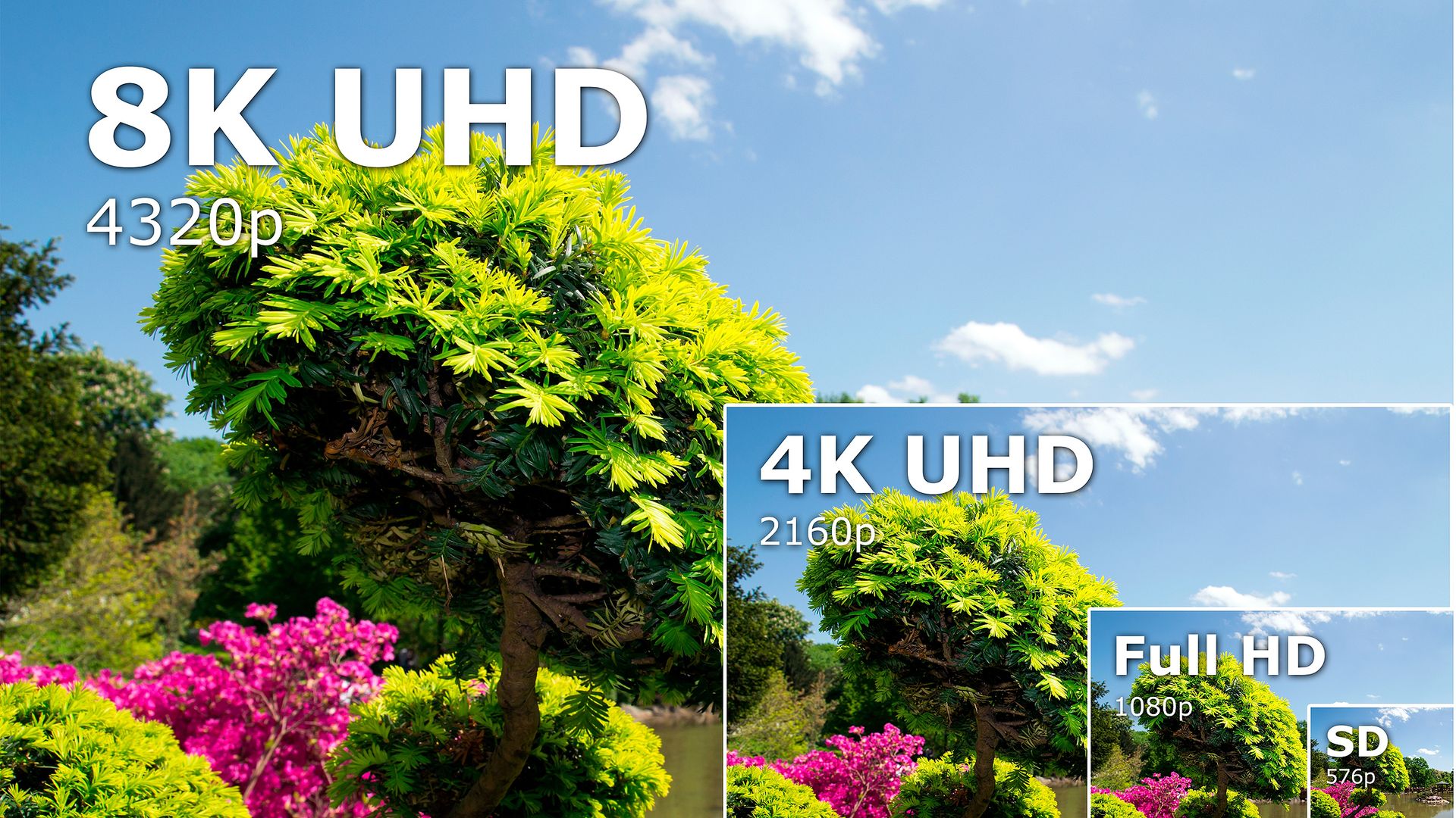 Best 8K TVs 2024: everything you need to know about 8K | T3
