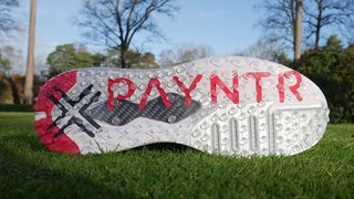 Payntr-sole-web