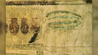 An image of a watermelon found in an ancient Egyptian tomb belonging to Chnumhotep in Saqqara.