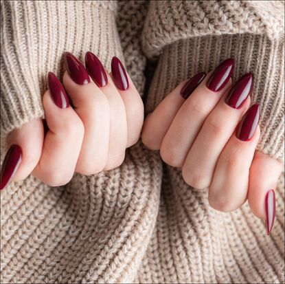 Beautiful hands of a young woman with dark red manicure on nails. Autumn winter nail design concept of beauty treatment.