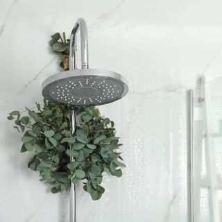bathroom with shower with leaves