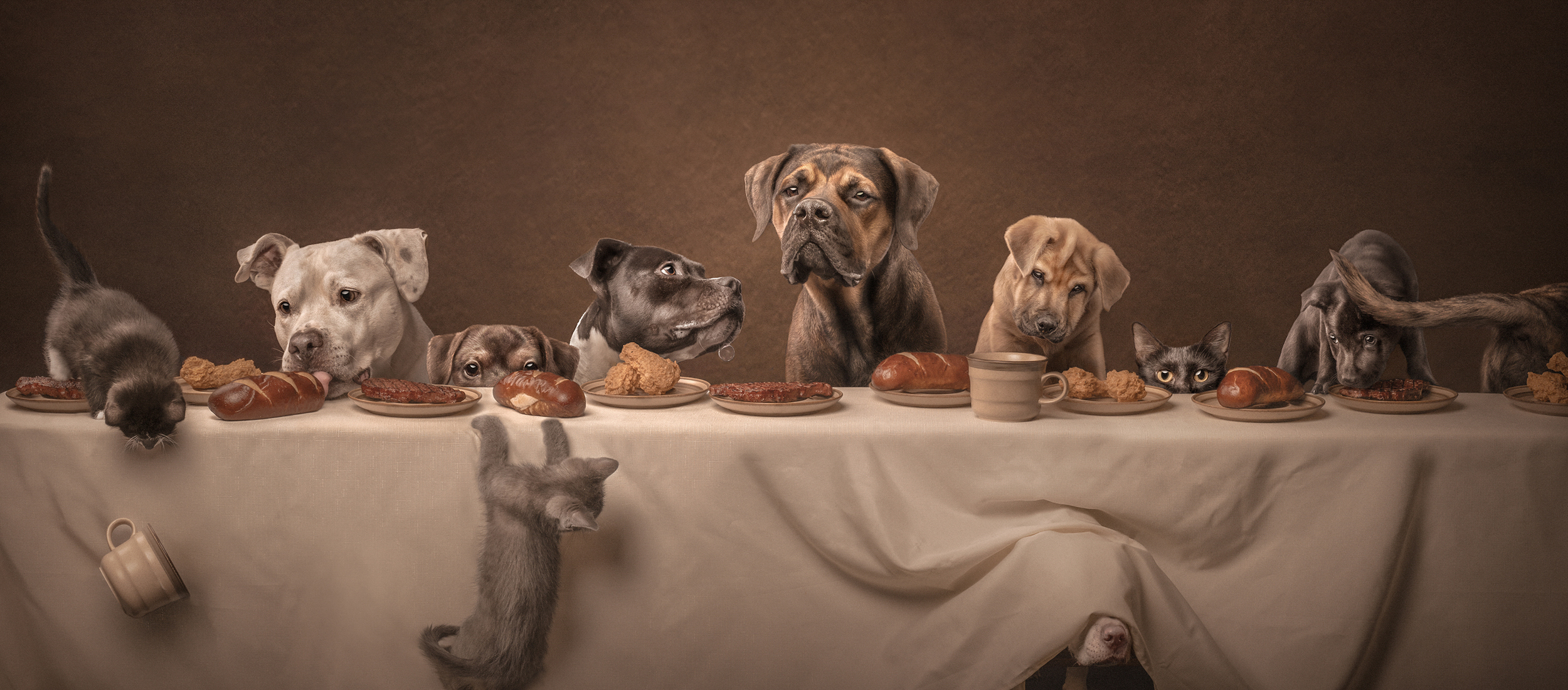 A table laden with various foods, surrounded by a curious mix of dogs and cats expressing anticipation and excitement