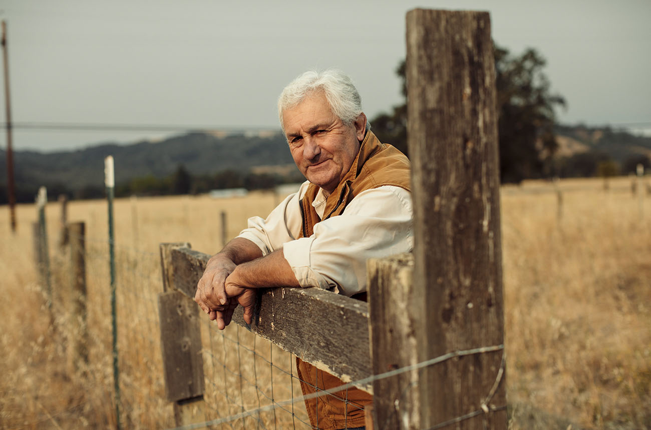 Pierre Seillan Tenuta Arceno Fence Head-On_KLawrence_8-2018