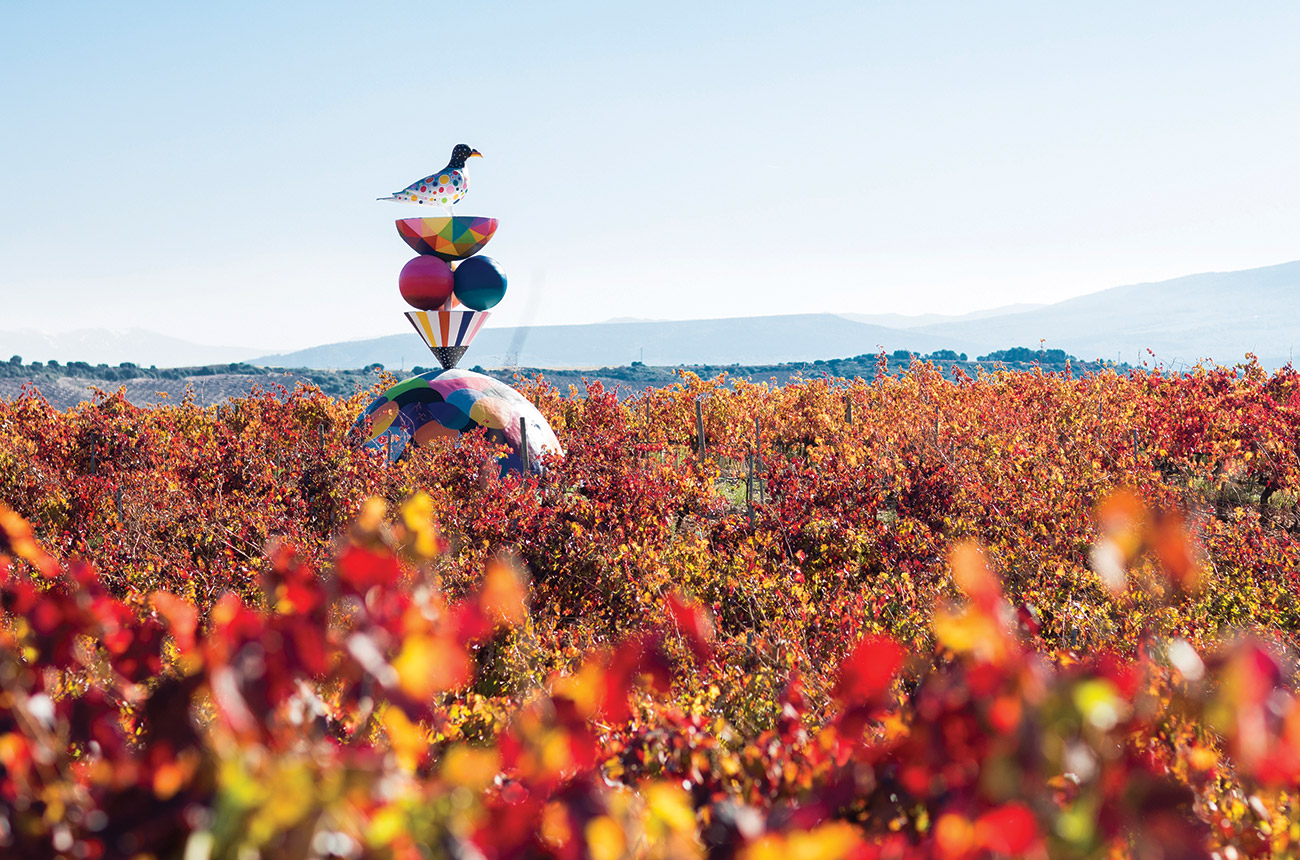 Campo Viejo vineyard