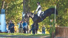 Felix Vogg and Cartania win Maryland 5 Star 2025.