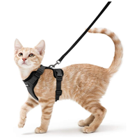 rabbitgoo Cat Harness and Leash