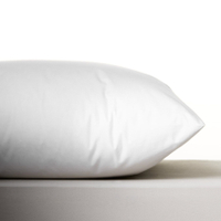 Norvegr European White Goose Down Pillow: boudoir soft from $320 / £241 at Norvegr