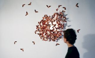 ﻿'Limited Moths' by Mischer'Traxler