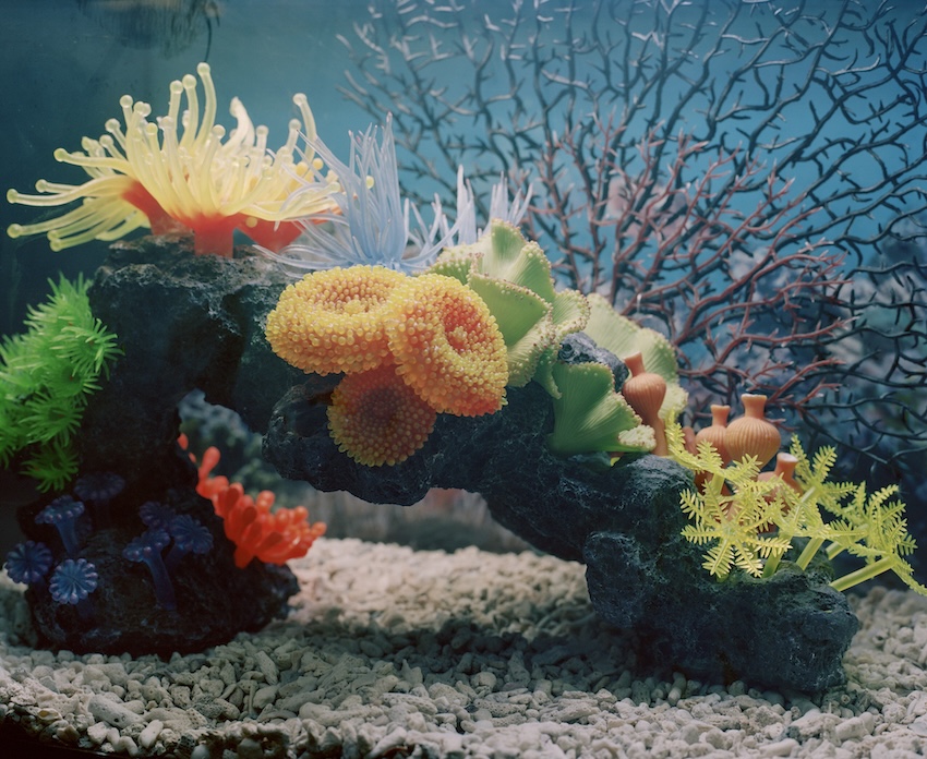 A vibrant underwater scene featuring artificial, multi-colored corals and anemones arranged on a dark rock formation over a bed of light-colored gravel.