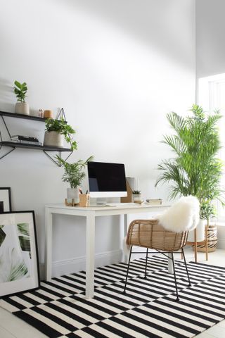 office space filled with various plants