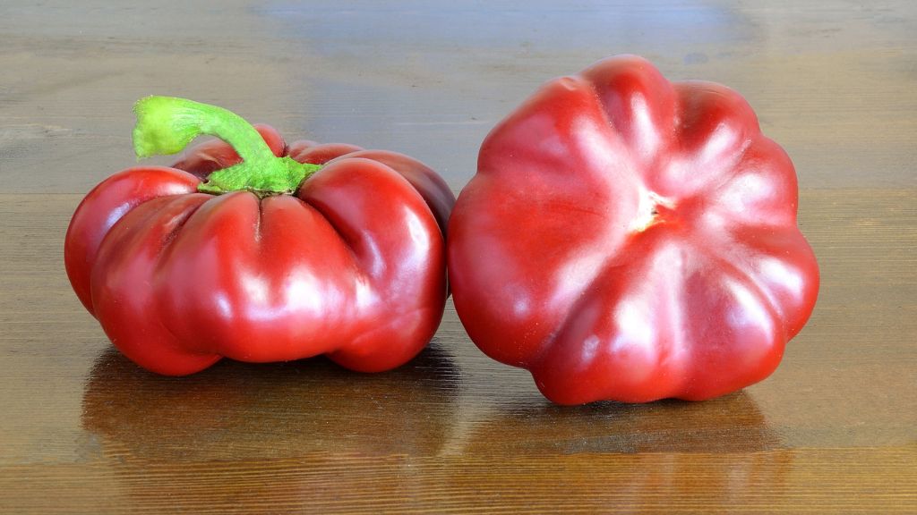 topepo rosso peppers 