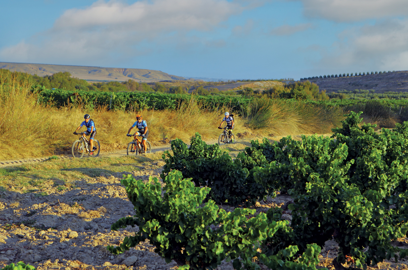 Visitors make use of the region&amp;rsquo;s network of cycle paths, passing Queir&amp;oacute;n&amp;rsquo;s El Arca vineyard in Rioja Oriental