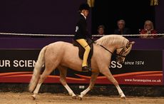 Kinvara Garner riding Laithehill Flute