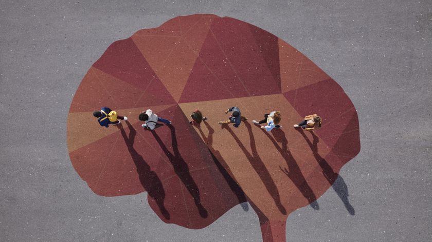 photo of people shown from above, walking over asphalt decorated with an image of a human brain