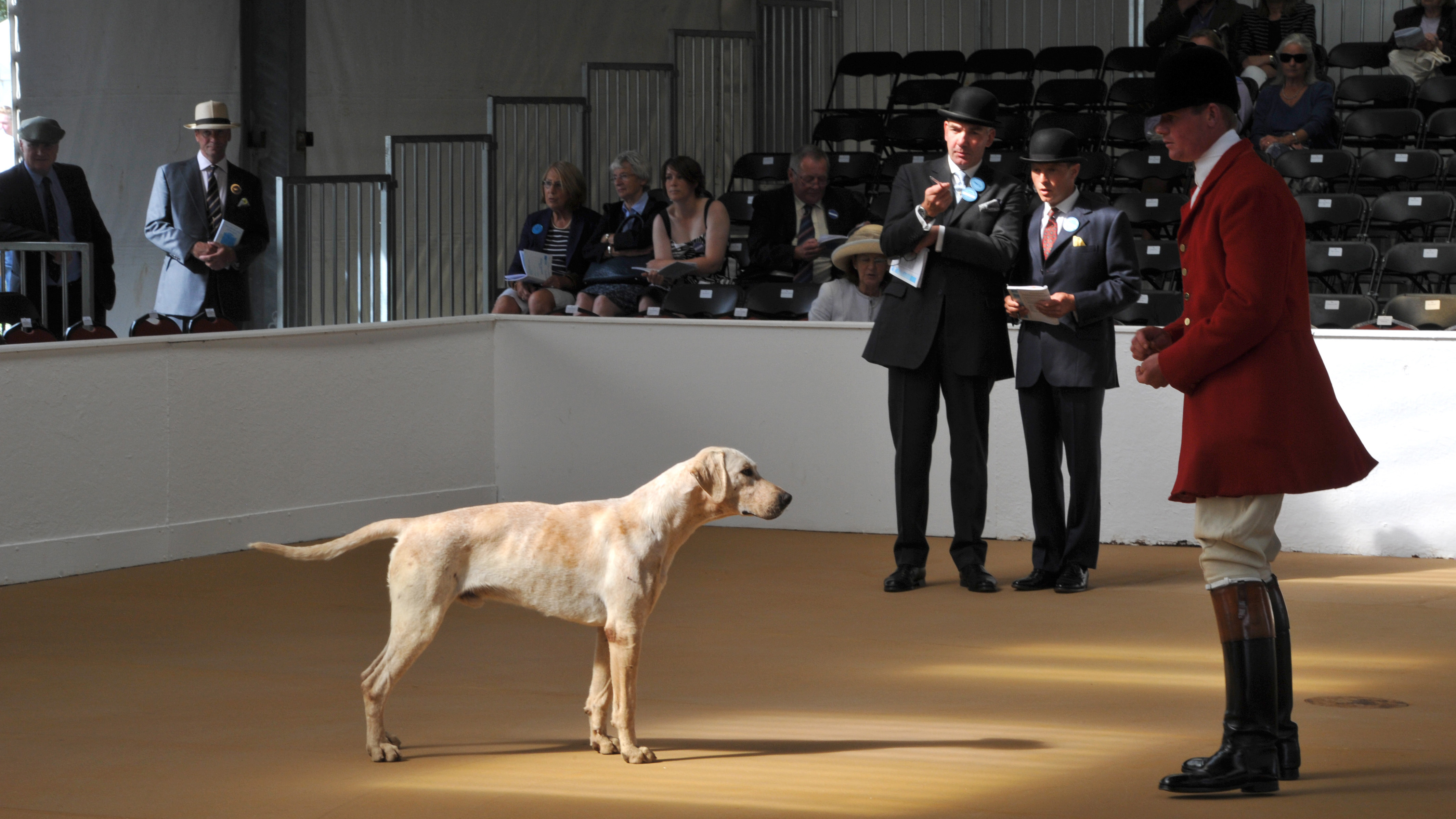 Andrew-Osborne-and-William-Bryer-Peterb-Foxhound-Show-22-07-156860_TI-ARCHIVE.jpeg