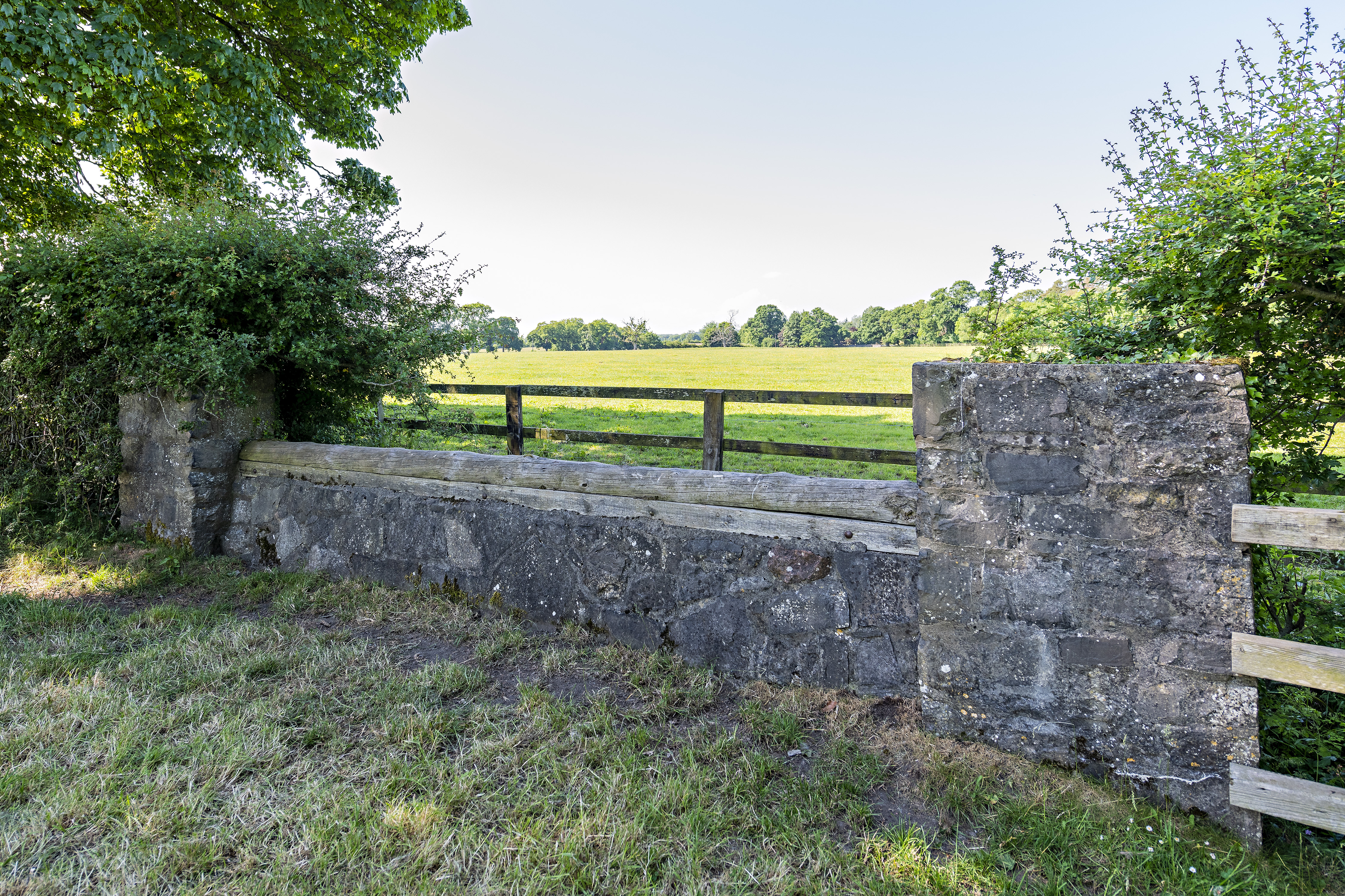 Dollanstown-31.jpg