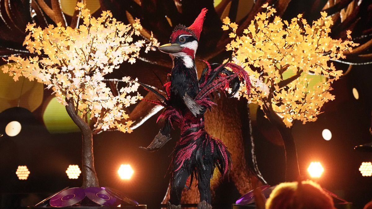 Woodpecker performs on The Masked Singer season 12