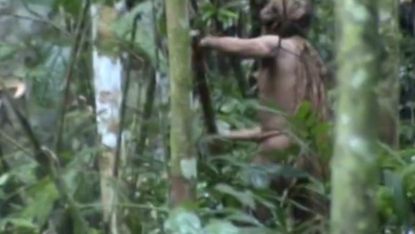 Tribe Amazon