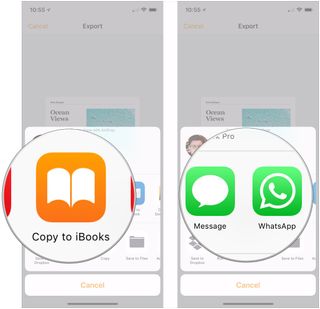 Tap Copy to iBooks, choose an app