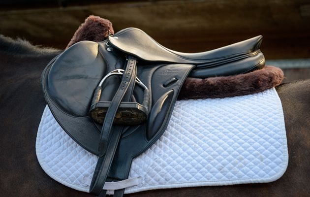 Caldene Sheepskin half pad review