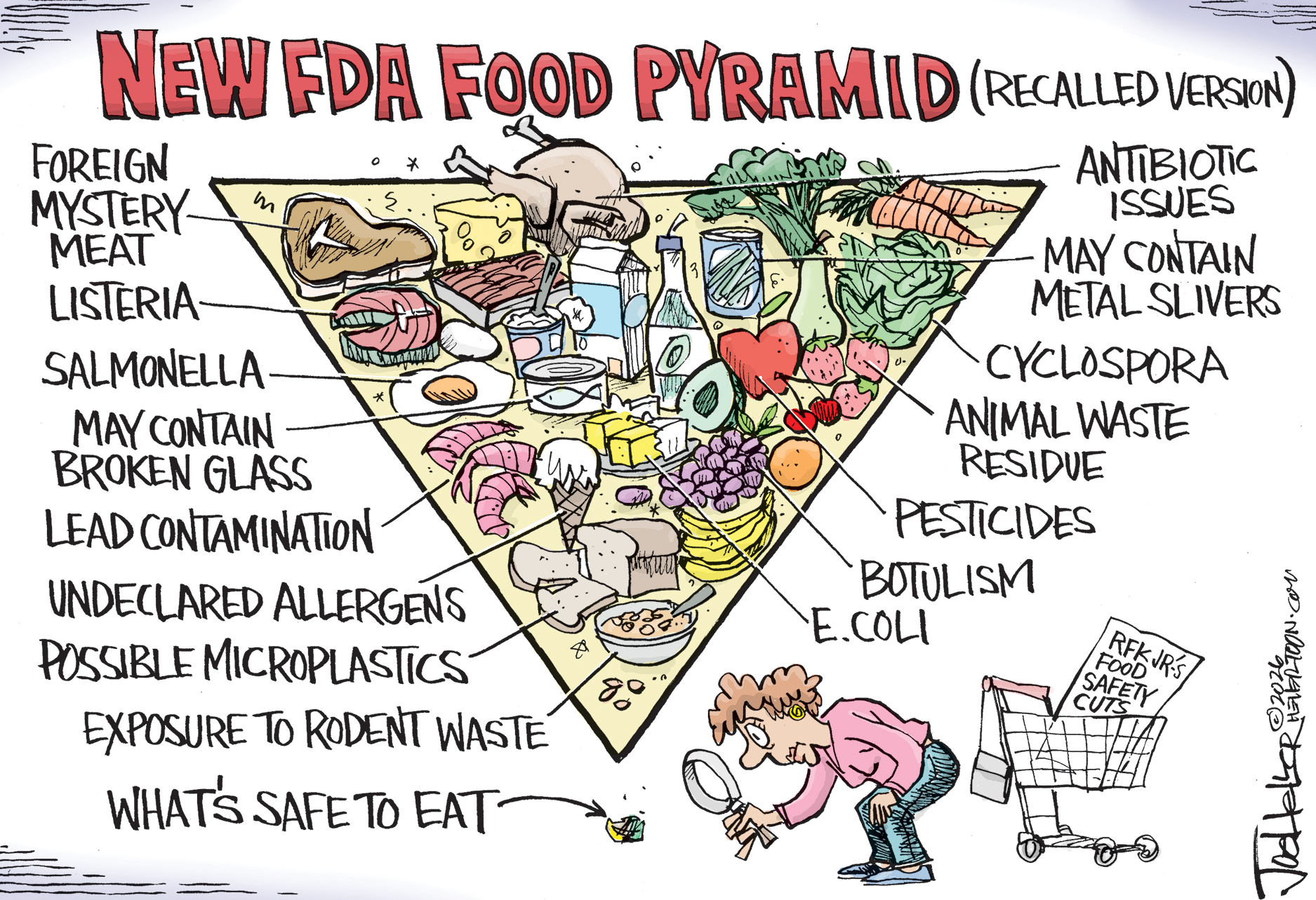 This cartoon is titled &amp;ldquo;The New FDA Food Pyramid (recalled version)&amp;rdquo;. It depicts a large version of the food pyramid in the wake of &amp;ldquo;RFK Jr.&amp;rsquo;s food safety cuts&amp;rdquo;. A woman with a magnifying glass looks at a tiny piece of food labeled &amp;ldquo;what&amp;rsquo;s safe to eat.&amp;rdquo; Meanwhile, the much-larger pyramid is filled with awful things, including foreign mystery meat, listeria, salmonella, may contain broken glass, lead contamination, undeclared allergens, possible microplastics, exposure to rodent waste, may contain metal slivers, cyclospora, animal waste residue, pesticides, botulism, and e.coli.