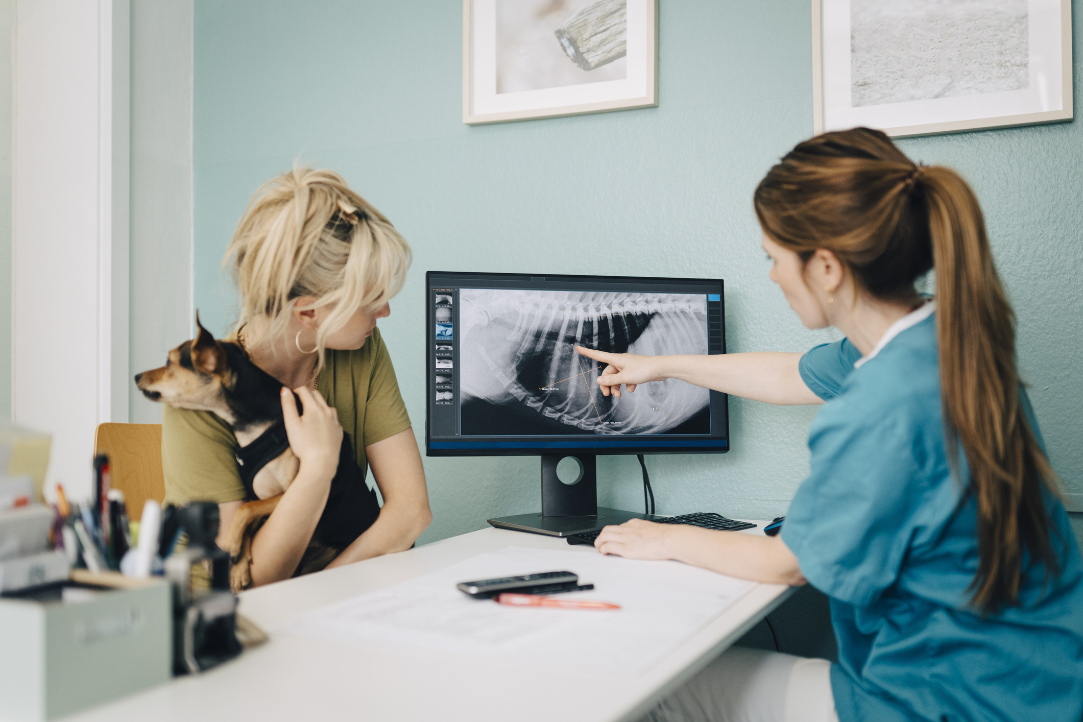 A vet goes over x-rays with dog owner.